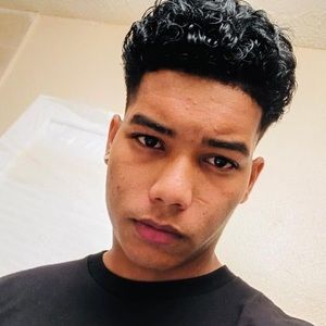 Meet your Posher, Geisel